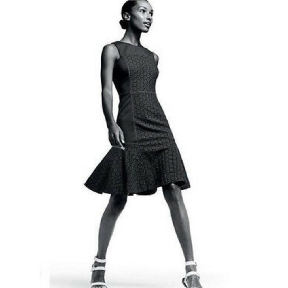 J Crew Collection Black Fit Flare Paneled Eyelet Dress